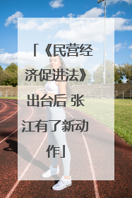 《民营经济促进法》出台后 张江有了新动作