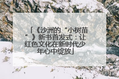 《沙洲的“小树苗”》新书首发式：让红色文化在新时代少年心中绽放