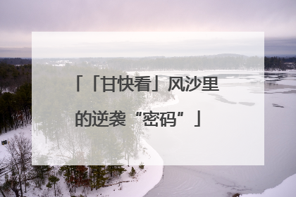 「甘快看」风沙里的逆袭“密码”