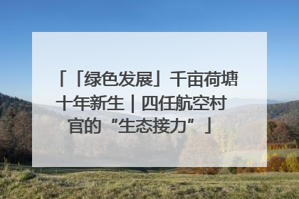 「绿色发展」千亩荷塘 十年新生｜四任航空村官的“生态接力”