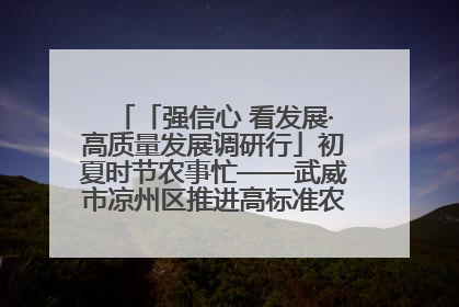 「强信心 看发展·高质量发展调研行」初夏时节农事忙——武威市凉州区推进高标准农田建设见闻