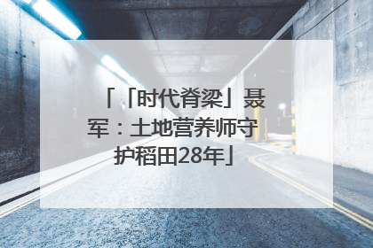 「时代脊梁」聂军：土地营养师守护稻田28年