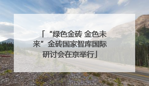 “绿色金砖 金色未来”金砖国家智库国际研讨会在京举行