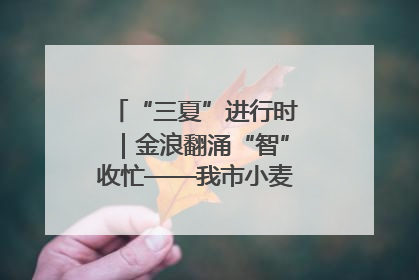 “三夏”进行时｜金浪翻涌“智”收忙——我市小麦开镰收割见闻