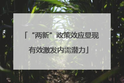 “两新”政策效应显现 有效激发内需潜力