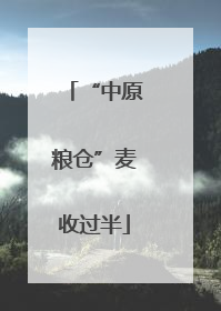 “中原粮仓”麦收过半