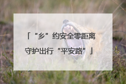 “乡”约安全零距离 守护出行“平安路”
