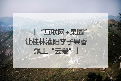 “互联网+果园”让桂林灌阳李子果香飘上“云端”