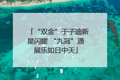 “双金”于子迪新星闪耀 “九冠”潘展乐如日中天