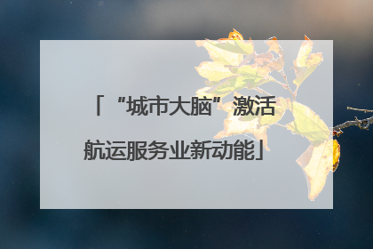“城市大脑”激活航运服务业新动能