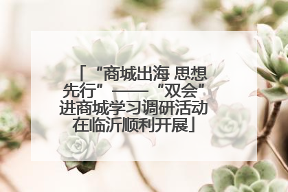 “商城出海 思想先行”——“双会”进商城学习调研活动在临沂顺利开展