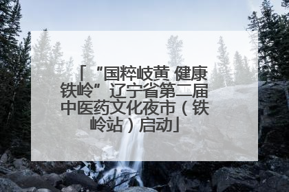 “国粹岐黄 健康铁岭”辽宁省第二届中医药文化夜市（铁岭站）启动