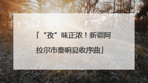 “孜”味正浓！新疆阿拉尔市奏响夏收序曲