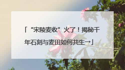 “宋陵麦收”火了！揭秘千年石刻与麦田如何共生→