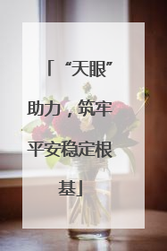 “天眼”助力，筑牢平安稳定根基