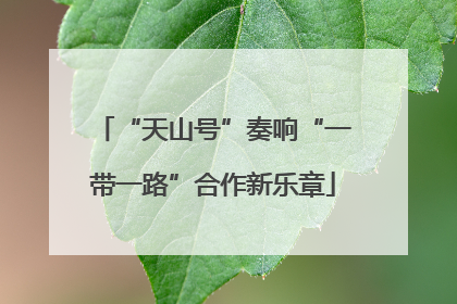 “天山号”奏响“一带一路”合作新乐章