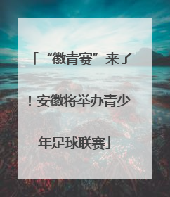 “徽青赛”来了！安徽将举办青少年足球联赛