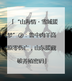 “山海情・雪域援梦”②：鲁中肉羊高原零伤亡，山东援藏破养殖密码