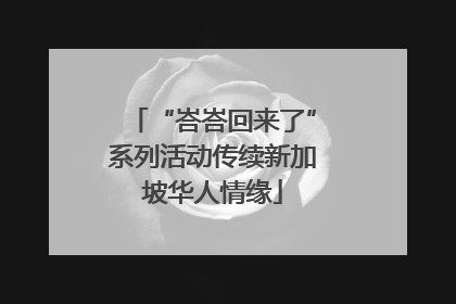 “峇峇回来了”系列活动传续新加坡华人情缘