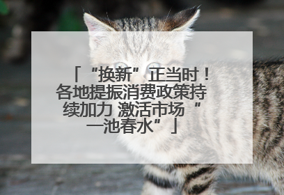 “换新”正当时！各地提振消费政策持续加力 激活市场“一池春水”