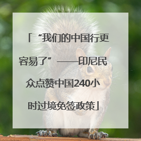 “我们的中国行更容易了”——印尼民众点赞中国240小时过境免签政策