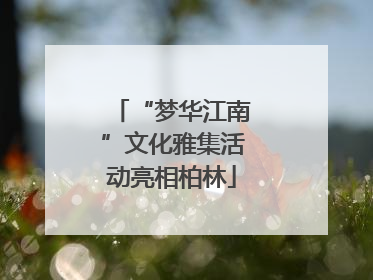 “梦华江南”文化雅集活动亮相柏林