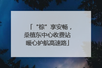 “棕”享安畅，桑植东中心收费站暖心护航高速路