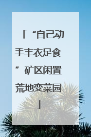 “自己动手丰衣足食”矿区闲置荒地变菜园