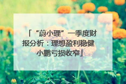 “蔚小理”一季度财报分析：理想盈利稳健 小鹏亏损收窄