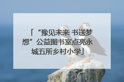 “豫见未来 书送梦想”公益图书室点亮永城五所乡村小学