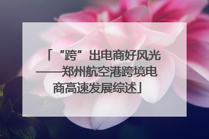 “跨”出电商好风光——郑州航空港跨境电商高速发展综述