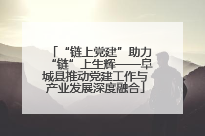 “链上党建”助力“链”上生辉——阜城县推动党建工作与产业发展深度融合