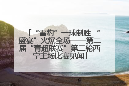 “雪豹”一球制胜 “盛宴”火爆全场——第二届“青超联赛”第二轮西宁主场比赛见闻