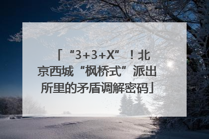 “3+3+X”！北京西城“枫桥式”派出所里的矛盾调解密码