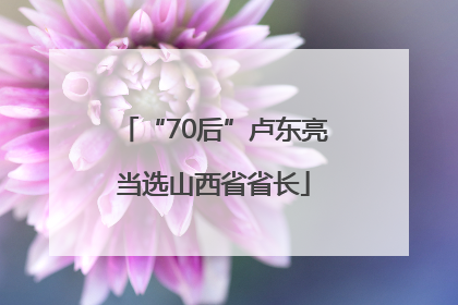 “70后”卢东亮当选山西省省长