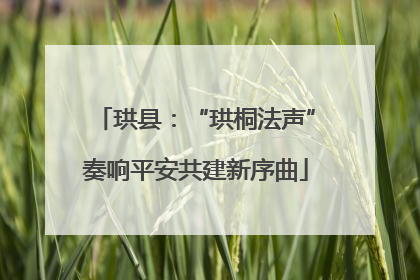 珙县：“珙桐法声”奏响平安共建新序曲