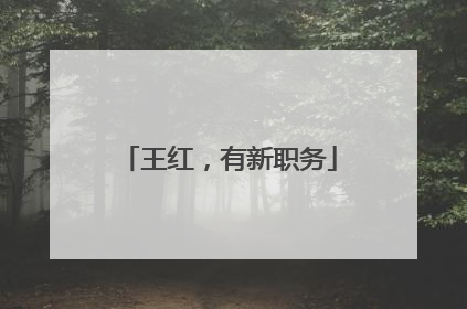 王红，有新职务