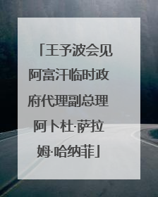 王予波会见阿富汗临时政府代理副总理阿卜杜·萨拉姆·哈纳菲