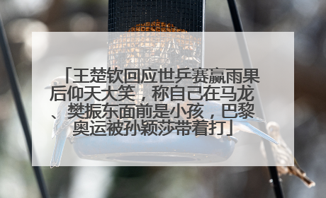 王楚钦回应世乒赛赢雨果后仰天大笑，称自己在马龙、樊振东面前是小孩，巴黎奥运被孙颖莎带着打