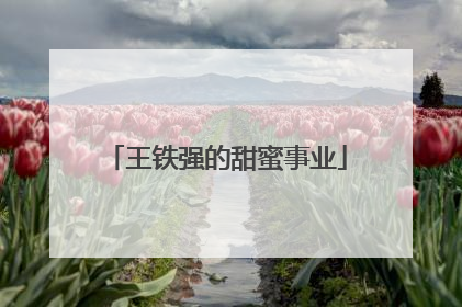 王铁强的甜蜜事业