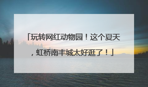 玩转网红动物园！这个夏天，虹桥南丰城太好逛了！
