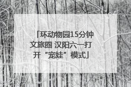 环动物园15分钟文旅圈 汉阳六一打开“宠娃”模式
