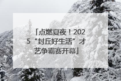点燃夏夜！2025“封丘好生活”才艺争霸赛开幕
