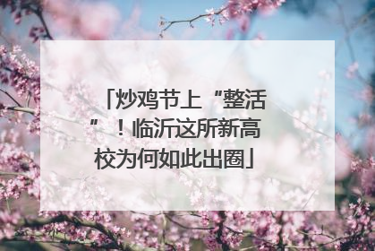 炒鸡节上“整活”！临沂这所新高校为何如此出圈