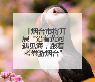 烟台市将开展“沿着黄河遇见海，跟着考卷游烟台”主题活动