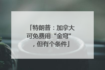 特朗普：加拿大可免费用“金穹”，但有个条件
