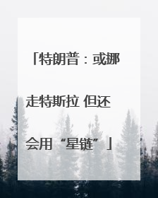 特朗普：或挪走特斯拉 但还会用“星链”