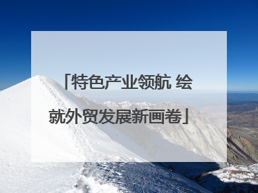 特色产业领航 绘就外贸发展新画卷