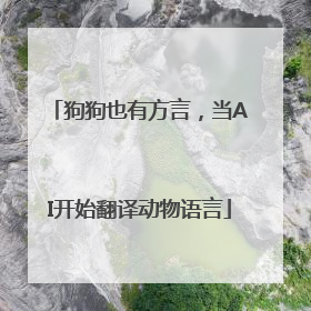 狗狗也有方言，当AI开始翻译动物语言