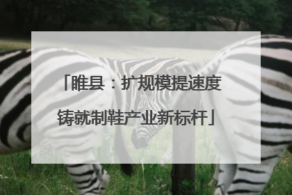睢县：扩规模提速度 铸就制鞋产业新标杆